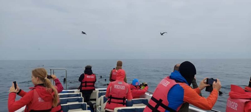 Paracas: Ballestas Island & Nature Reserve all inclusive - Final Thoughts