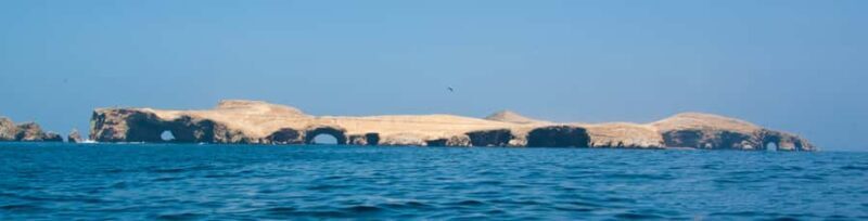 Paracas: Ballestas Islands and Candelabro Boat Tour - Key Points