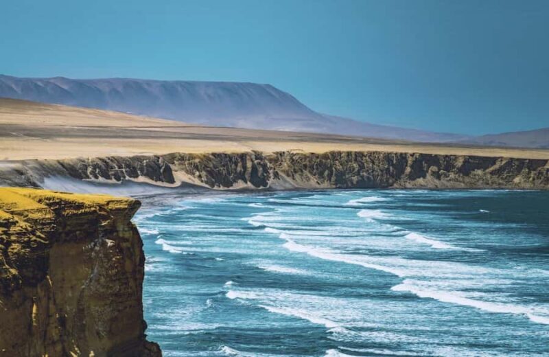 Paracas: Ballestas Islands and Paracas National Reserve Tour - Who Will Enjoy This Tour?