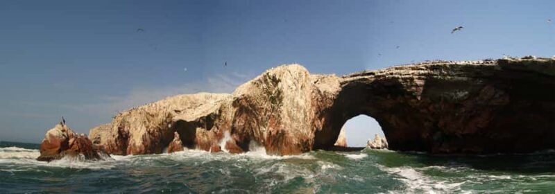 Paracas: Ballestas Islands and Paracas Reserve Tour - What to Expect on the Tour