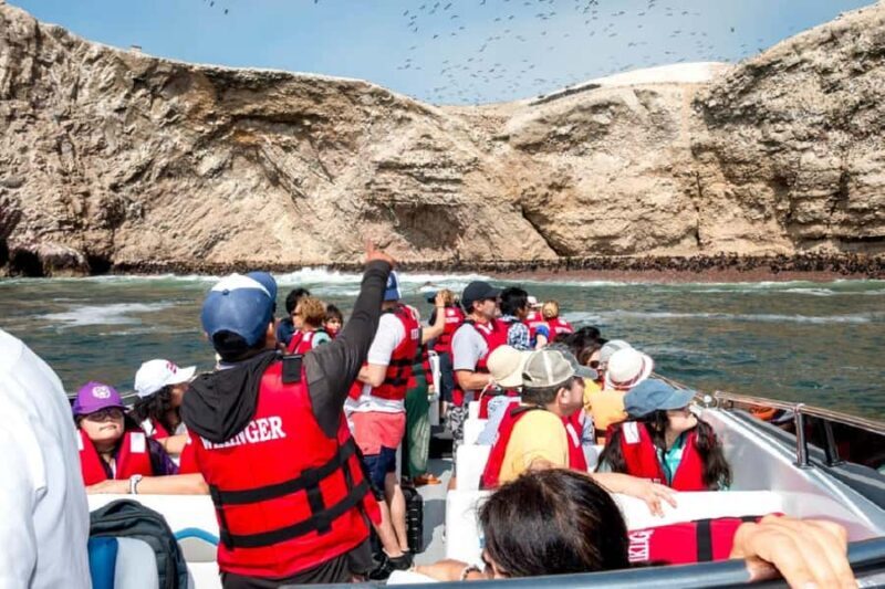 Paracas: Ballestas Islands Boat Ride Tour - Key Points