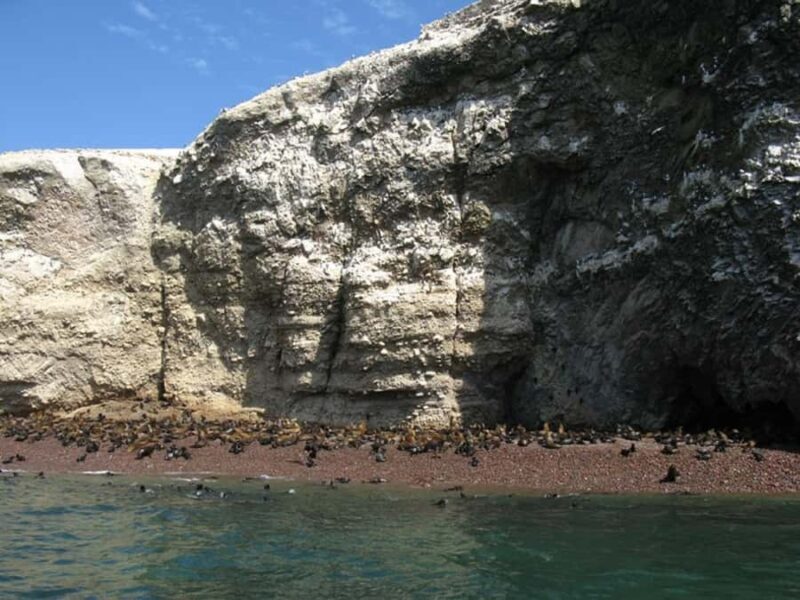 Paracas: Ballestas Islands Boat Ride Tour - What You Should Know Before You Go