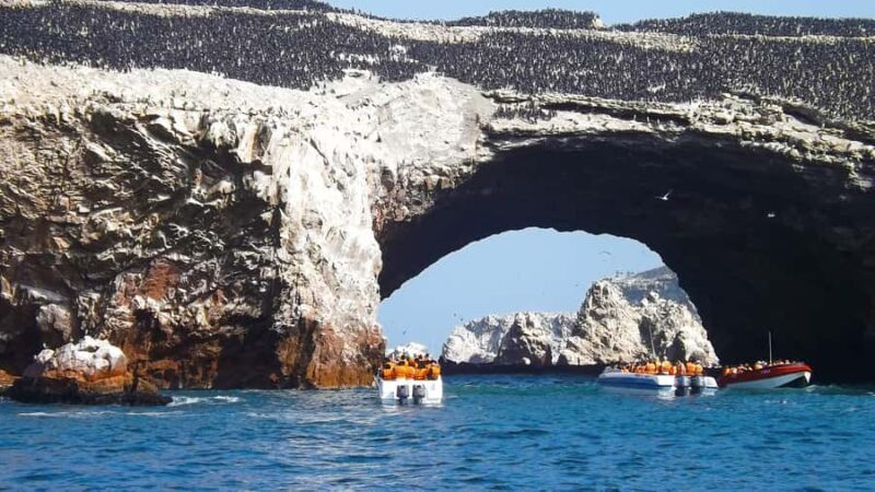 Paracas: Ballestas Islands Boat tour - Islas Ballestas - Final Thoughts
