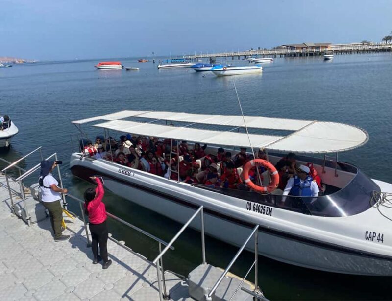 Paracas: Ballestas Islands Morning Boat Tour - Why This Tour Works Well