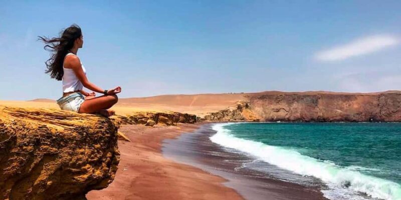 Paracas : Ballestas Islands & Paracas Reserve - Full Day - Key Points