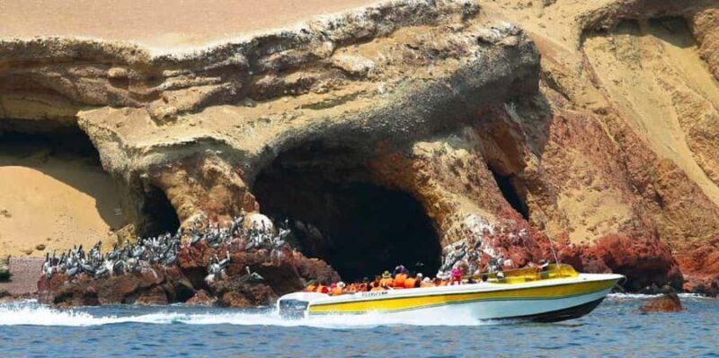 Paracas : Ballestas Islands & Paracas Reserve - Full Day - A Closer Look at the Experience