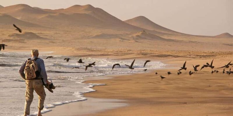 Paracas : Ballestas Islands & Paracas Reserve - Full Day - FAQ