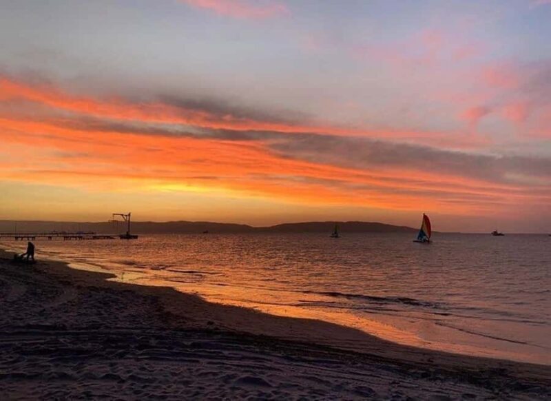 Paracas Bay Catamaran Adventure - An In-Depth Look at the Paracas Bay Catamaran Adventure