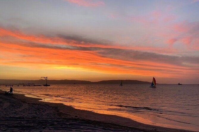 Paracas: Catamaran - Sail & Discover Paracas Bay - Key Points