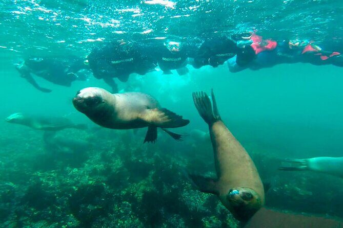 Paracas: Catamaran - Sail & Discover Paracas Bay - What Youll Experience on the Tour