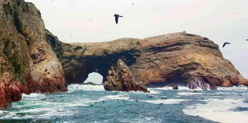 Paracas: Desert buggy ride in the southern desert of Paracas - Why This Tour Works Well