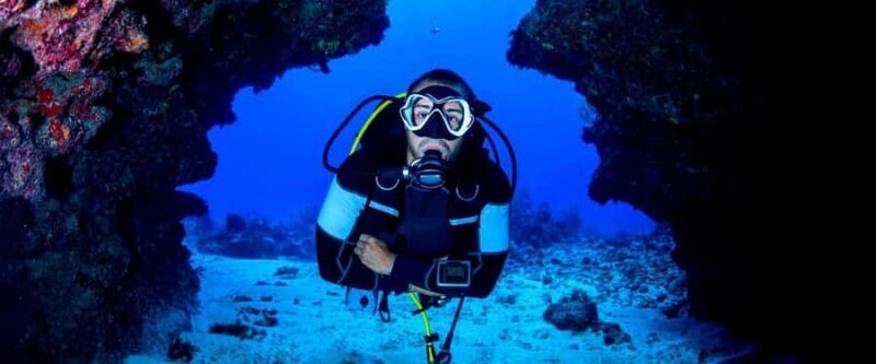 Paracas: Diving - Dive into the sea - Exploring Paracas: What to Expect from Your Diving Tour