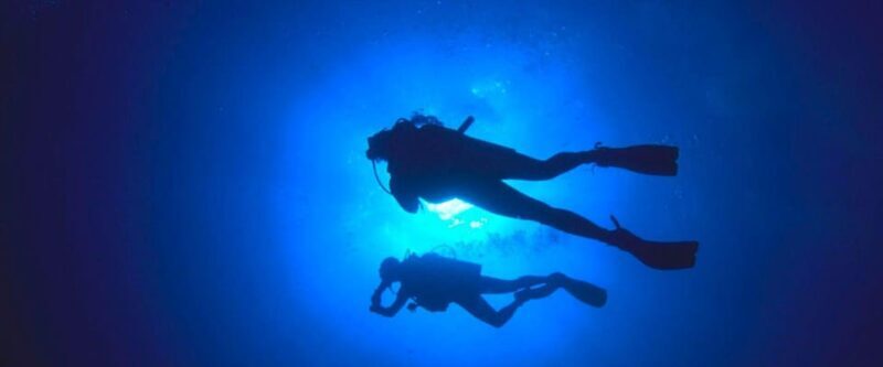 Paracas: Diving - Dive into the sea - Who Is This Tour Best Suited For?