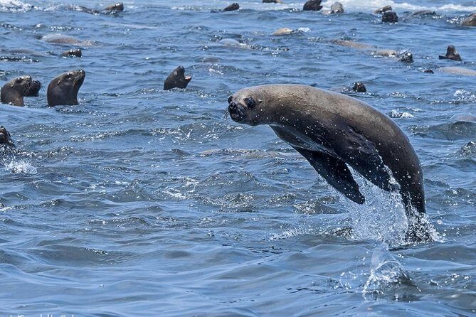 Paracas, Huacachina and Nazca: 2Day/1Night Tour from Lima - Considering the Costs and Value