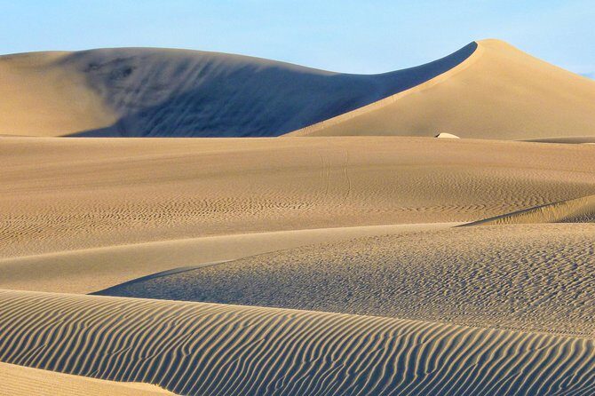 Paracas - Ica Full Day (Private tour) - The Experience, Value, and What Travelers Say