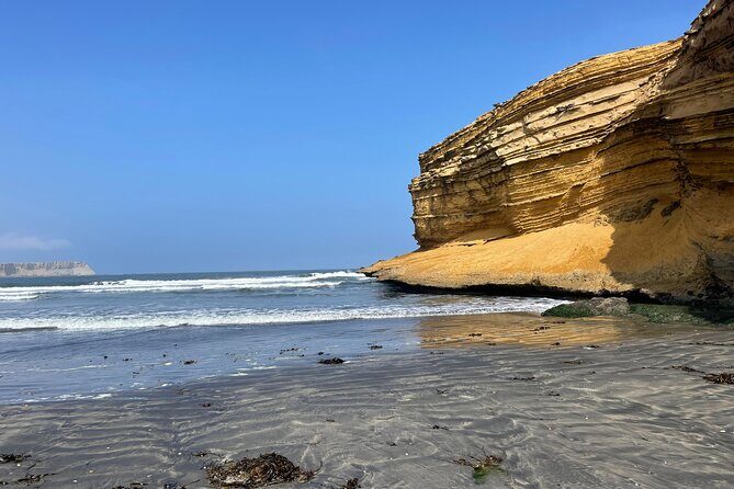 Paracas National Reserve by Tourist Bus - Detailed Breakdown of the Itinerary