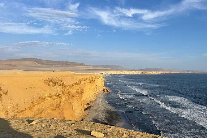 Paracas National Reserve by Tourist Bus - Final Thoughts: Who Will Love This Tour?