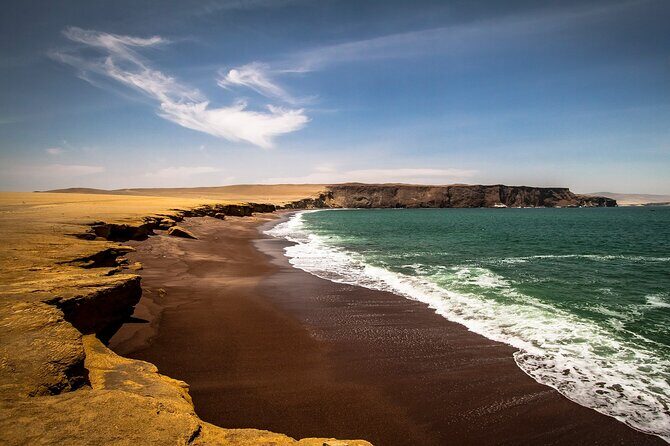 Paracas National Reserve Half Day Tour - An In-Depth Look at the Paracas National Reserve Half Day Tour