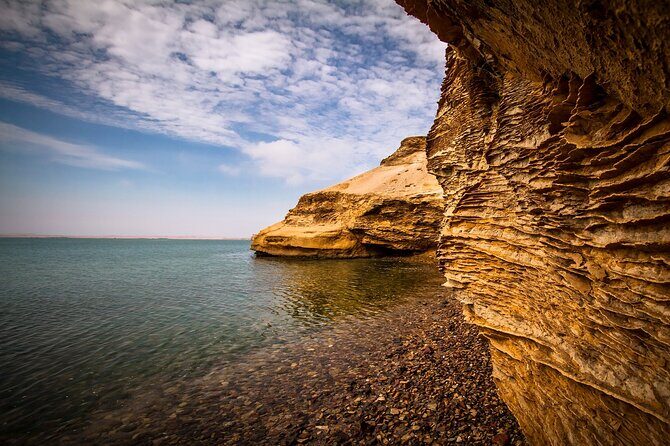 Paracas National Reserve Half Day Tour - The Sum Up