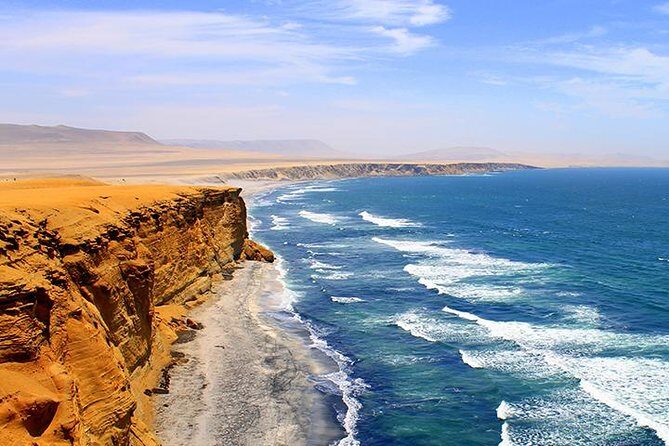 Paracas National Reserve Private Tour from Paracas or Pisco - Key Points