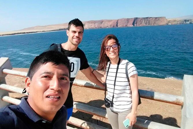 Paracas National Reserve Tour - Authentic Encounters and Real Traveler Experiences