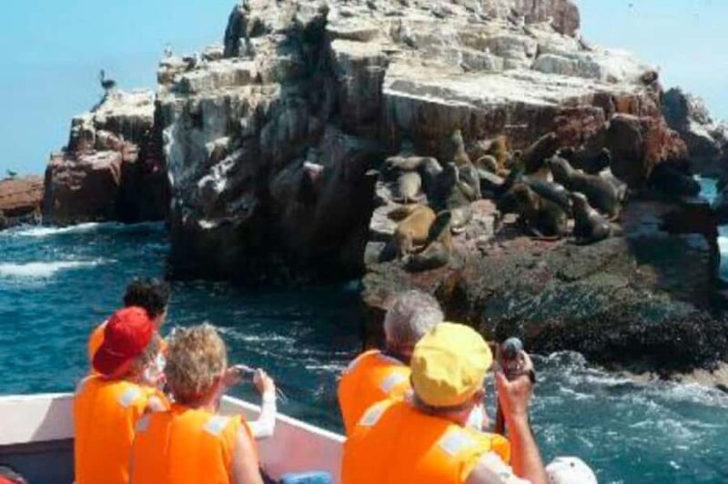 Paracas: Private Tour of the National Reserve - Final Thoughts