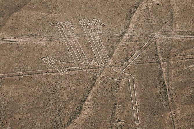 Paracas Shore Excursion: Nazca Lines Tour - FAQs