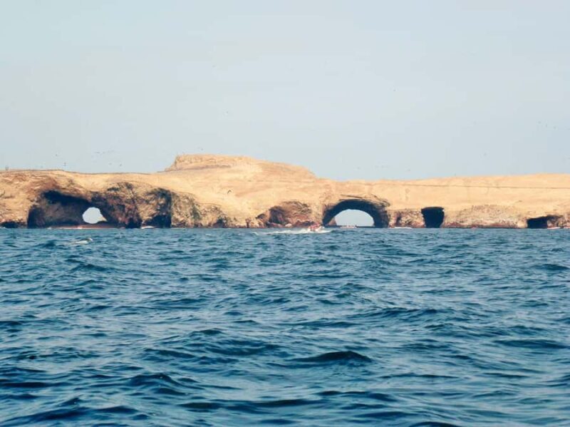 Paracas: Short excursion to Ballestas Island | Sea lions | - Final Thoughts