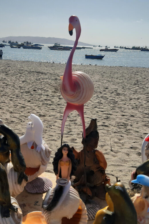 Paracas: Tours to Ballestas Islands by Speed Boat - Exploring Paracas Bay by Speedboat: An Authentic And Thrilling Encounter