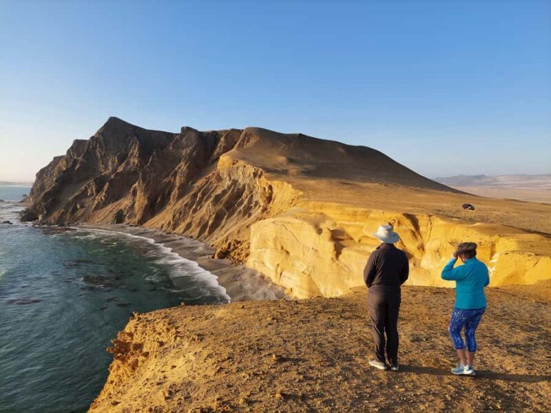 Paracas:Private Tours Paracas National Reserve all inclusive - Key Points