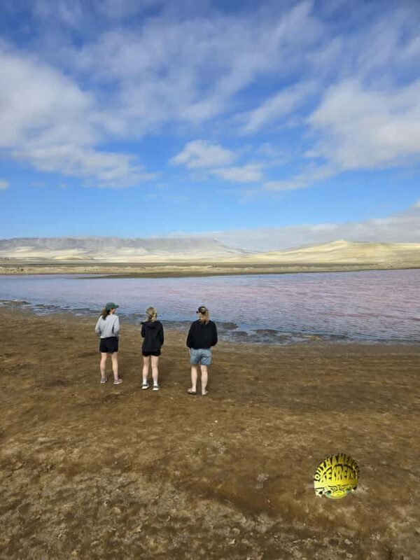 Paracas:Private Tours Paracas National Reserve all inclusive - Exploring the Paracas National Reserve: A Deep Dive