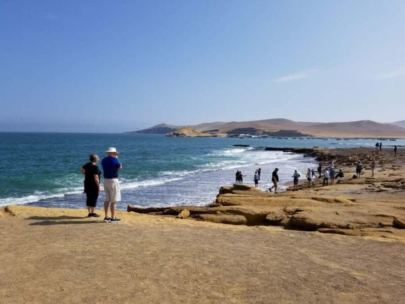 Paracas:Private Tours Paracas National Reserve all inclusive - Final Thoughts