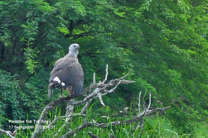 Paradise Bundala Safari Tours - Exploring the Itinerary in Detail