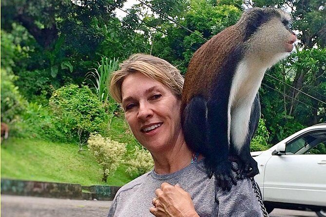 Paradise Cascades: Discover Grenada's Majestic Waterfalls Tour - Waterfalls: From Annandale to Mount Carmel