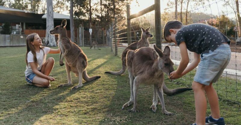 Paradise Country: Ultimate Aussie Farm Experience - An Honest Look at Paradise Country