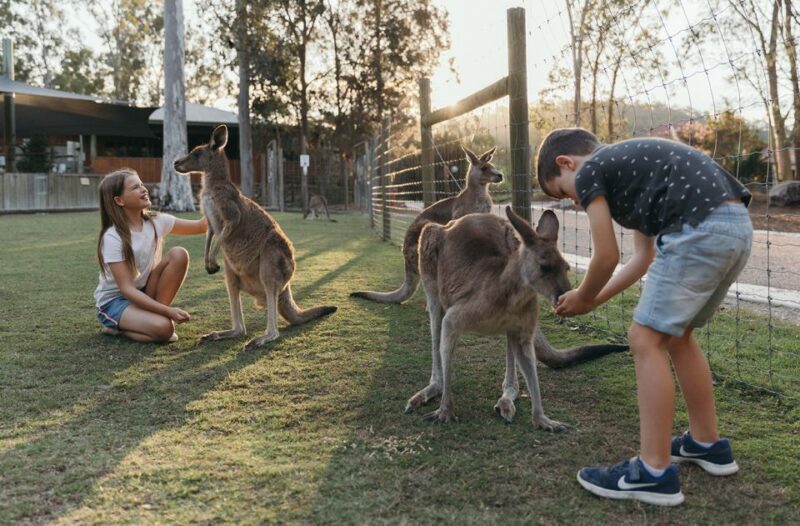 Paradise Country: Ultimate Aussie Farm Experience - Final Thoughts