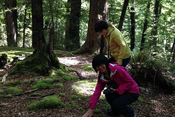 Paradise Day Walks - Discover the Beauty of Queenstown with Paradise Day Walks
