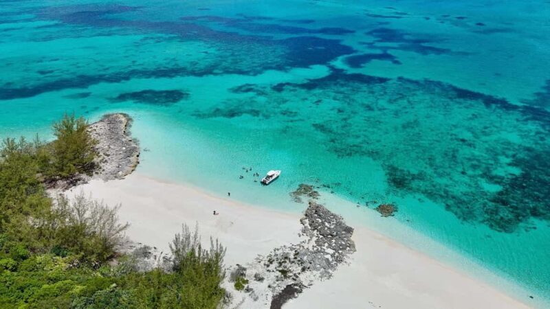 Paradise Found In Hog Haven: Ultimate Beach Escape - Who Is This Tour Best For?