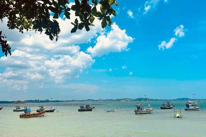 Paradise Galle Day Tours - An In-Depth Look at Paradise Galle Day Tours