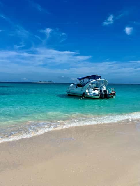 Paradise Island: Glass-Bottom Boat Tour with Live Commentary - Experience the Bahamas from a New Perspective: Glass-Bottom Boat Tour