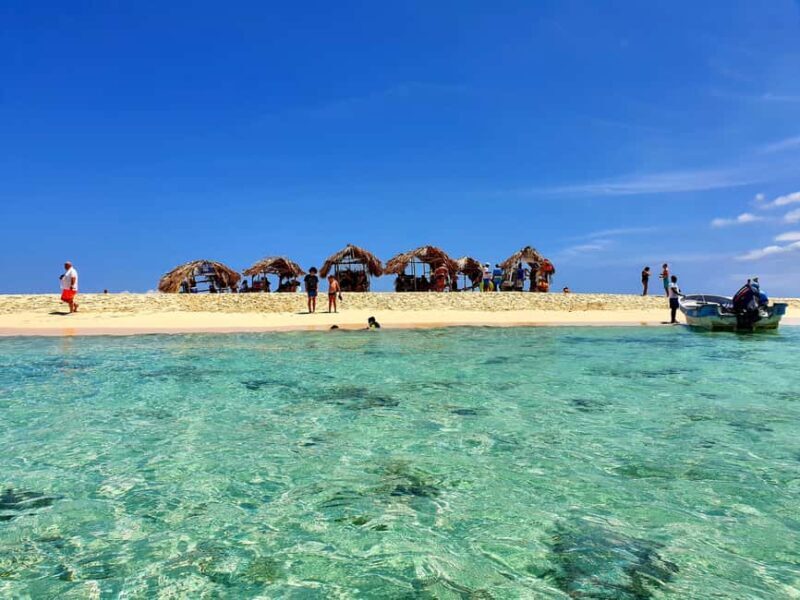 Paradise Island Private Tour, Snorkeling & Manatee Sanctuary - The Manatee Sanctuary: A Gentle Encounter