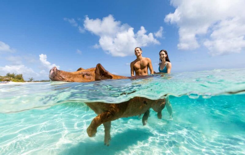 Paradise Island: Rose Island Tour with Swimming Pigs & Lunch - FAQ
