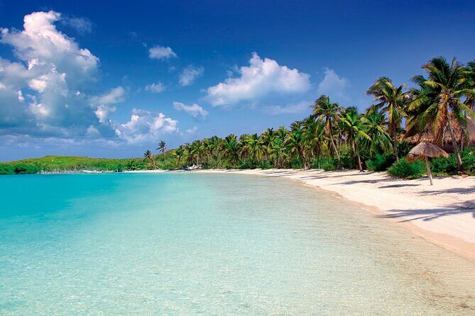 Paradise Islands Tour: Isla Contoy and Isla Mujeres - Key Points