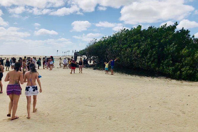 Paradise Lagoon tour - Key Points