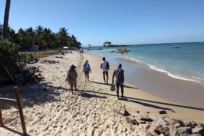 Paradise Morro de São Paulo Island Tour from Salvador - A Deep Dive into the Morro de São Paulo Tour