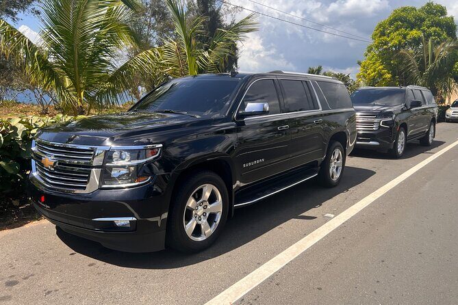Paradise on Wheels: Suburban Premiere in Punta Cana - Round Trip - The Experience in Detail