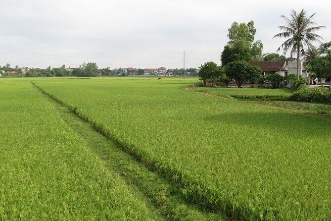 Paradise Phong Nha caves from Dong hoi city - The Sum Up