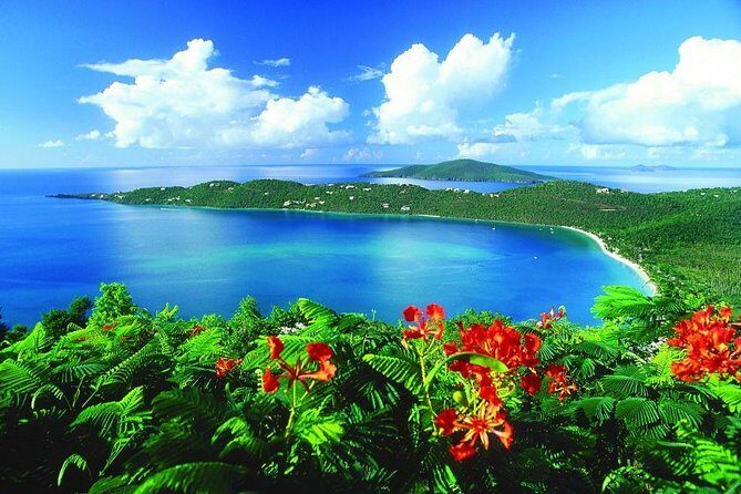 Paradise Taxi & Tours USVI - St. Thomas, Virgin Islands- Island Scenic Tour - A Detailed Look at the Island Scenic Tour