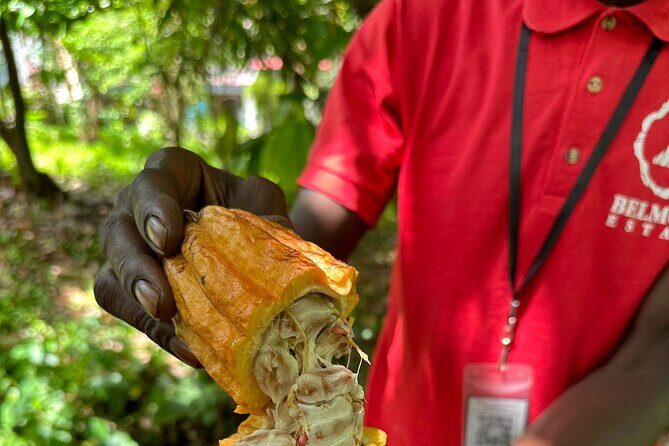 Paradise Unveiled Full Day Island Escape - Final Thoughts