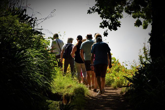 Paradise Valley Beauty Walk - The Walk: Scenic Beauty and Educational Stops